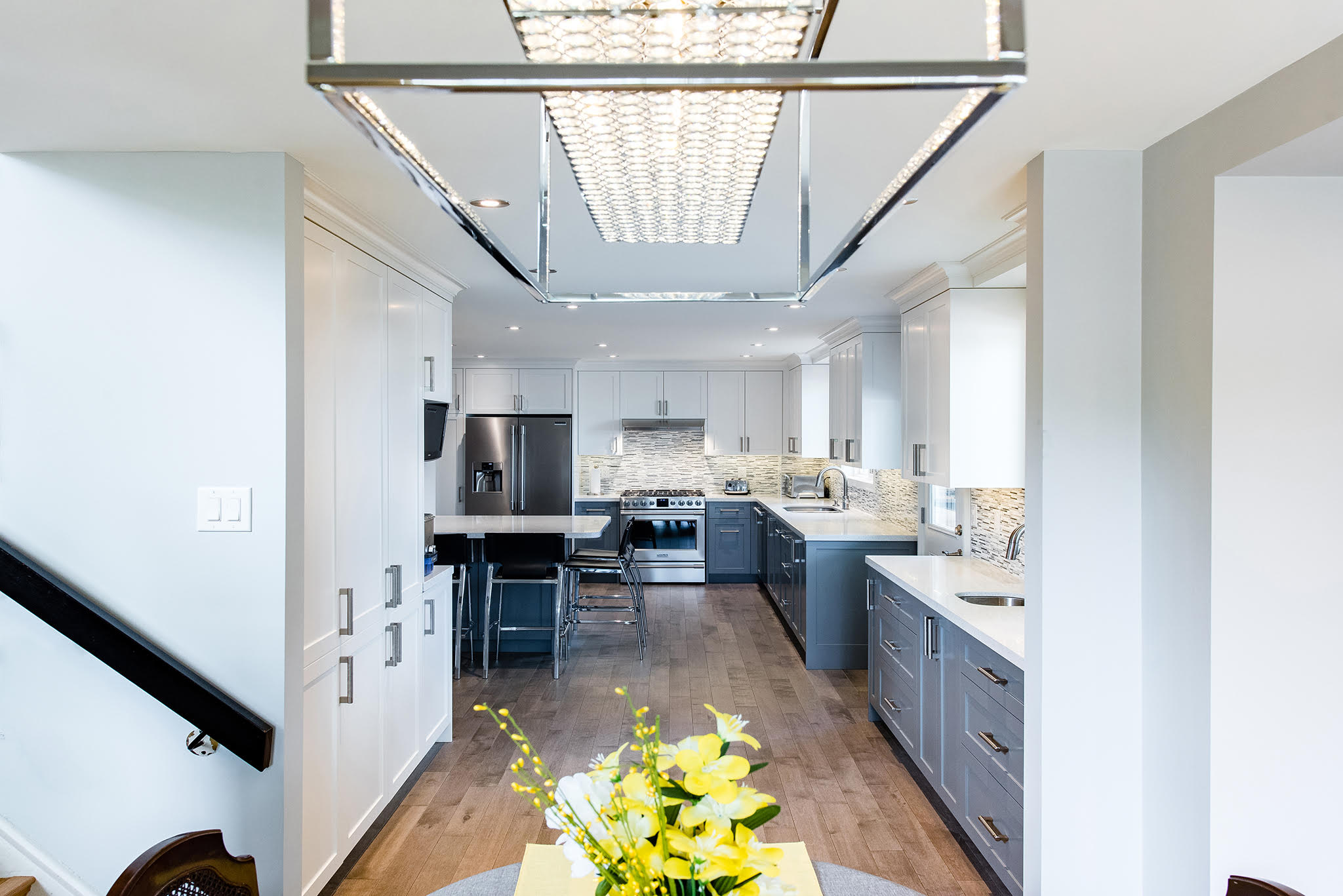 Project “Snowshoe”